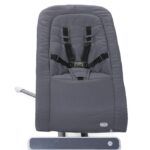 Chicco RhythmN Sound Baby Seat