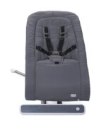 Chicco RhythmN Sound Baby Seat